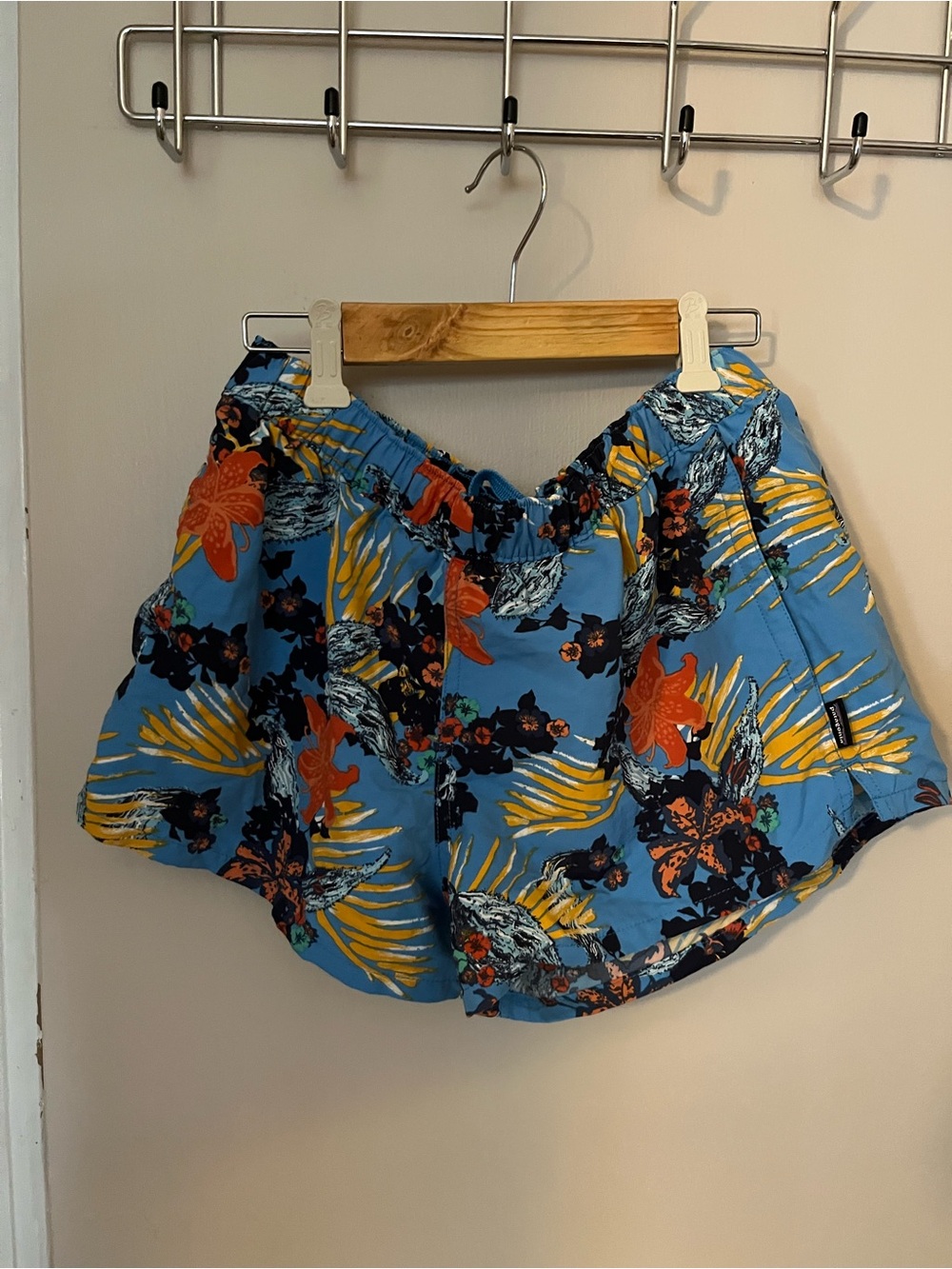 Patagonia Women’s Shorts